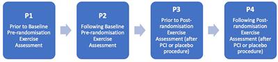 The Placebo-Controlled Effect of Percutaneous Coronary Intervention on Exercise Induced Changes in Anti-Malondialdehyde-LDL Antibody Levels in Stable Coronary Artery Disease: A Substudy of the ORBITA Trial